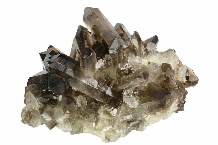 Dark Smoky Quartz Crystal Cluster - Brazil #124608